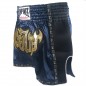 Retro Lumpinee Thaiboxningsshorts : LUMRTO-003-marin